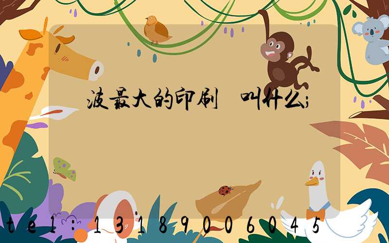 寧波最大的印刷廠叫什么