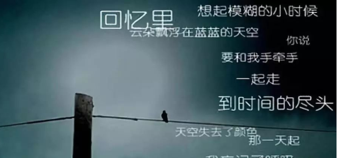 上海市偵探公司:事業成就和生活品質